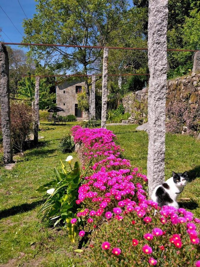 Quinta Da Chanca Paredes de Coura Zewnętrze zdjęcie