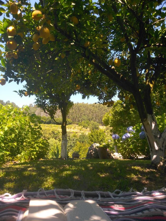 Quinta Da Chanca Paredes de Coura Zewnętrze zdjęcie