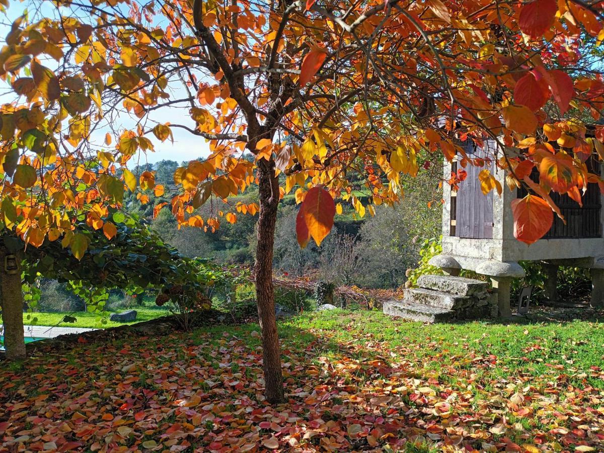 Quinta Da Chanca Paredes de Coura Zewnętrze zdjęcie