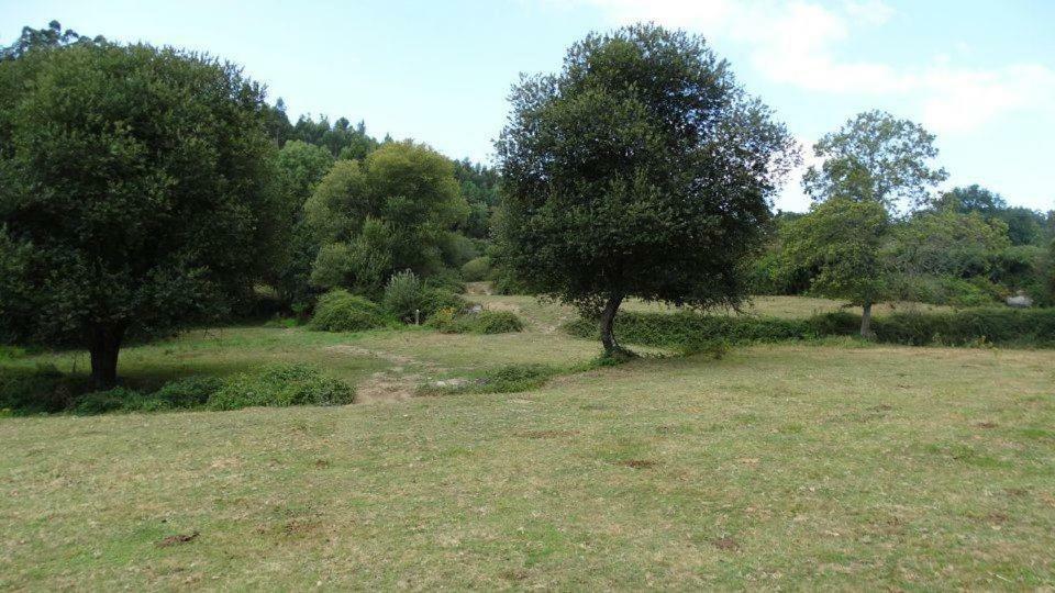 Quinta Da Chanca Paredes de Coura Zewnętrze zdjęcie