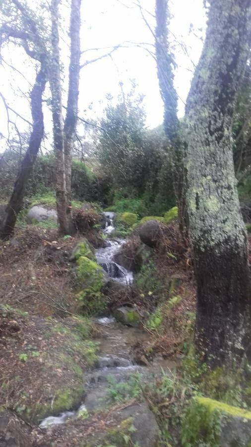 Quinta Da Chanca Paredes de Coura Zewnętrze zdjęcie