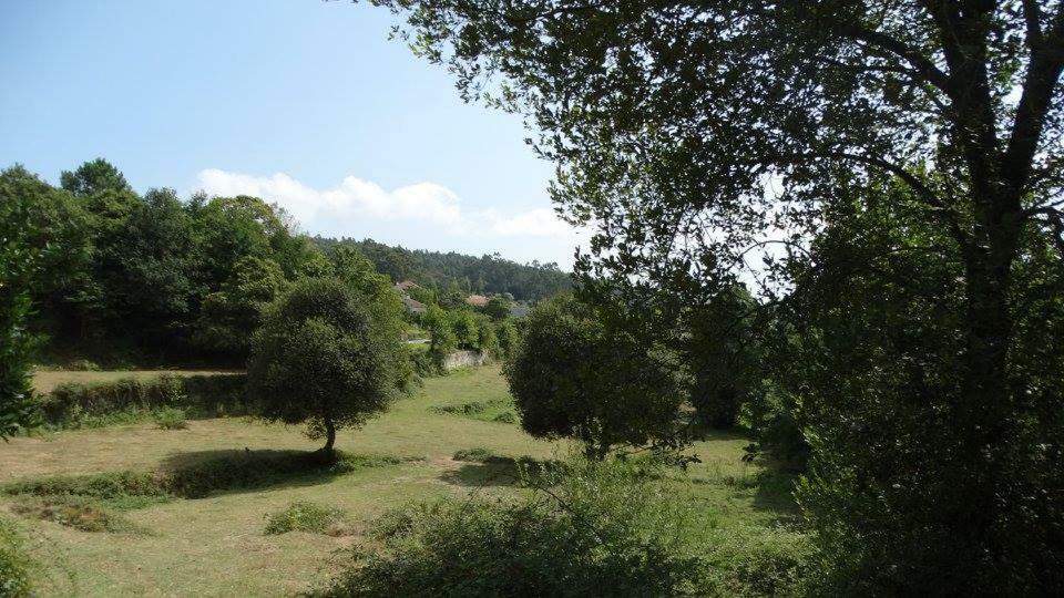 Quinta Da Chanca Paredes de Coura Zewnętrze zdjęcie